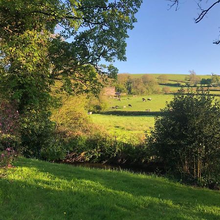 Bow Mill Farm Bed & Breakfast Totnes Ngoại thất bức ảnh